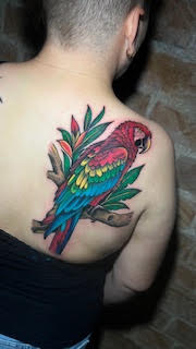 Tatuagem colorida de pássaro nas costas — trabalho de Thaís Muniz